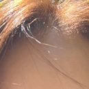 어트랙 이미지