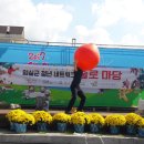 벌룬팩토리 서울 이미지