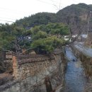 차시배지민박 이미지