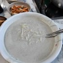 송원애견의집 이미지