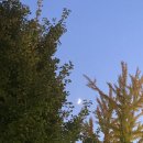 조광택시 이미지