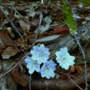 휴아일랜드 이미지