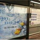 하늘보리 이미지