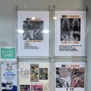 준동물병원 이미지