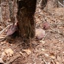 영지농장 이미지