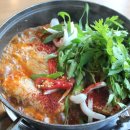 제주 반딧불 이미지