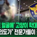 대전에서 고양이 7마리 얼굴을 토치로 학대한 70대 남성 잡힘 이미지