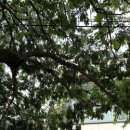 지베르니펜션2 이미지