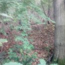 진골농장 이미지