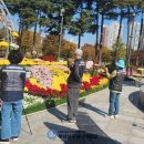 부산남구시니어클럽 이미지