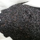 호원농장 이미지