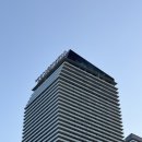 더코인 | 더코스모폴리탄 호텔 라스베가스 파운틴뷰 야경 후기