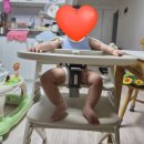 아펠 | 내돈내산 아기원목의자 야마토야아펠소르베 후기