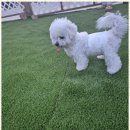 더블루네스 이미지