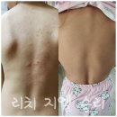 지엘화장품 이미지
