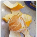 경미농장 이미지