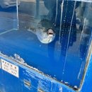일출수산 내돈내산 솔직후기 찐후기 : 가격, 메뉴, 분위기, 위치, 브레이크타임, 예약가능여부, 주차공간