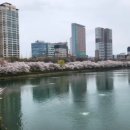 석촌역(7번출구 뒤) 이미지