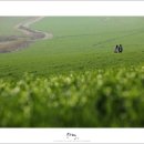 안성목장 이미지