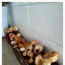 녹원유치원 이미지