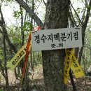 영산강환종주 5구간(81km) 어둠이 있어야 밝음이 더 소중하듯 이미지