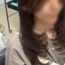 은성헤어샵 - 중구 | 흔한 스타일은 지겨워서 방문한 성신여대 c컬펌 성지, 앙비떼살롱에서 뿌리염색까지 풀코스로 대변신한 날