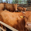 마블링 푸드 이미지