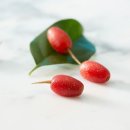 보리수 이미지