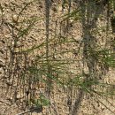 홍산농장 이미지