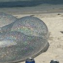 스테이그레이 이미지