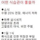 무병장수 식습관? 배고플 때, 조금씩, 자주 드세요 이미지