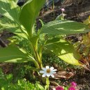 해피농장 이미지