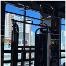 드래곤짐 이미지