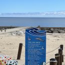 명태의 꿈(아트벤치 이미지