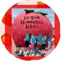행복한 사과나무 어린이집 이미지