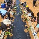 황토체험가온길 이미지