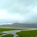 미운오리 이미지