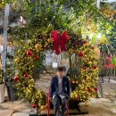 아라공원 | 함안 카페 추천 입곡군립공원 근처 대형 크리스마스 분위기 아라깨비베이커리카페