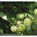 성계농장 이미지