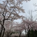 교촌목장 이미지