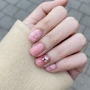 로이1441