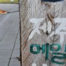 명진카 센터 네이버블로그