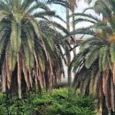 삼육목장 이미지