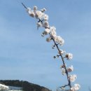 여난농장 이미지