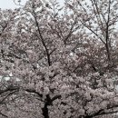 남광유도관 이미지