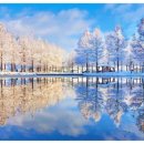 설렘 호스텔 이미지