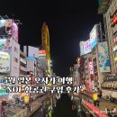 스텝인스튜디오 | 5월 일본 오사카 항공권가격 NOL 항공권예약후기