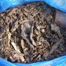 한국사슴백화점 이미지