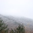 지리산친구들 이미지