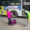 세종도시교통공사 이미지